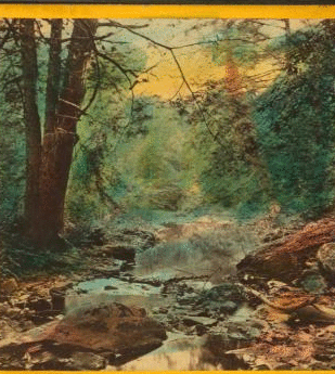 Devil's Bath, Cressom Creek. Wissahickon Creek. 1860?-1870?