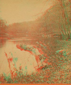 Opposite Moore & Jessups paper mills, looking down stream, Brandywine. 1865?-1880? 187-