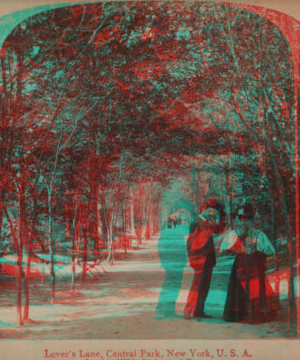 Lovers' Lane, Central Park, New York, U.S.A. c1896 [1859?-1895?]