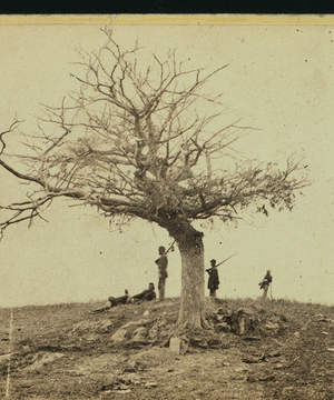 A lone grave on battle field of Antietam.