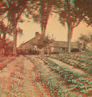 [Farm house and rows of potatoes(?).] 1867?-1875?