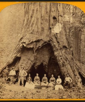 The Pioneer's Cabin, 32 ft. diameter. ca. 1864?-1874? 1864?-1874?