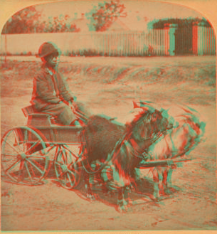 A stylish Virginia turnout, U.S.A. [showing African American boy in goat cart]. 1865?-1896?