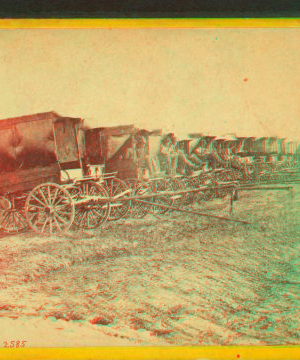 Park of army wagons, City Point, Va. 1861-1865