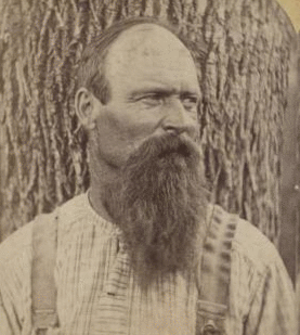 [Portrait of a beared man.] [1860?-1880?]