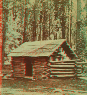 First log hut erected in the grove, Mariposa Grove. 1860?-1874?