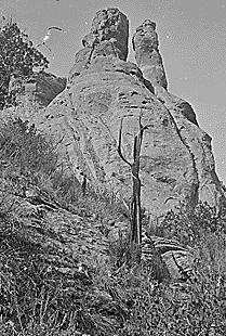 On Ashley Creek, Green River "Twin Pinnacles" in Northeast Utah. Photo by Hillers, No. 188. "Ashley Creek, a tributary of Green River, NE corner of Utah. Indian name is Teau-war-navits".