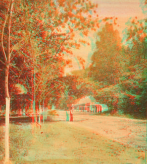 Wissahickon drive at Valley Green. 1865?-1880?