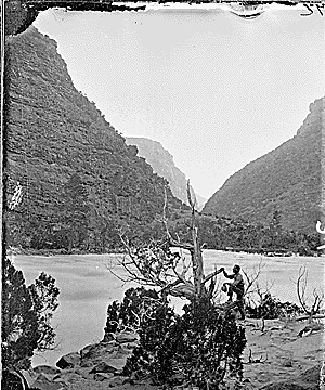 Green River. Canyon of Lodore, unidentified man standing with foot on dead tree, hat in hand, side view, with the river behind him and the canyons rising on either side of the tree. Excellent spacing of photo. Old nos. 325, 365, 615.