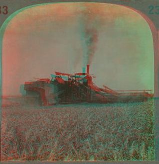 A combined steam harvester which heaps, thrashes and sacks, Calif., U.S.A. ca. 1905 1870?-1910?