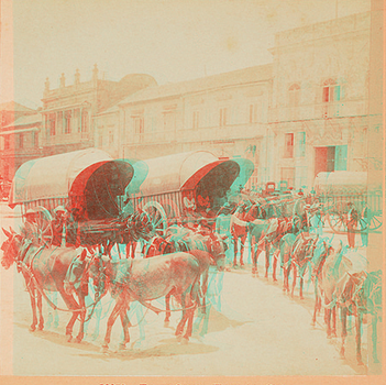 Farm Carts, Havana, Cuba