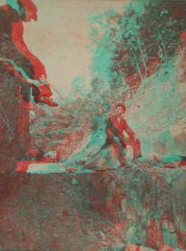 In the Adirondack Mountain. [ca. 1890] 1860?-1885?