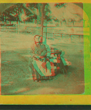 Old apple woman, Boston Common. 1860?-1890?