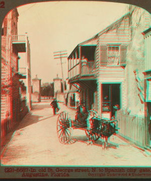In old St. George street, N. to Spanich city gate. St. Augustine, Florida. 1868?-1905?