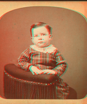 [Studio portrait of a boy.] 1870?-1885?