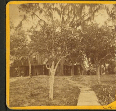 Mrs. H. B. [Stowe]. St. John River. Florida. [ca. 1875] 1873?-1895?