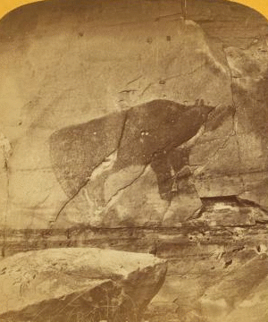 Natural photograph of a bear on the rocks of the Purgatoire River. 1870?-1885?