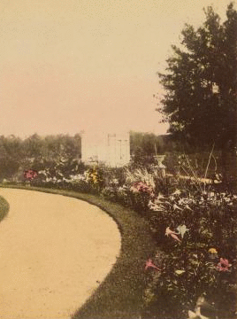 Flowers in Howard cemetery, New Orleans, La. 1870?-1890?
